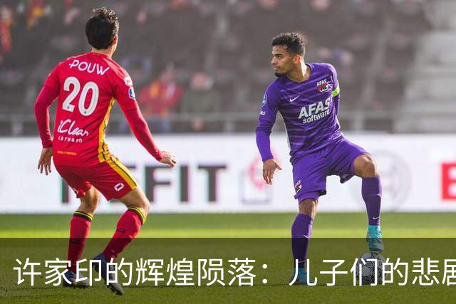 许家印的辉煌陨落：儿子们的悲剧与家族财富的覆灭